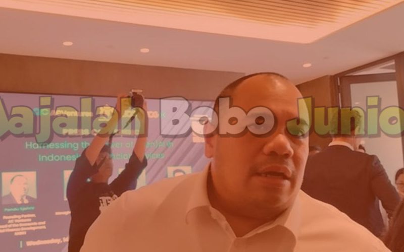 Pandu Sjahrir Buka-bukaan Sumber Duit Danantara