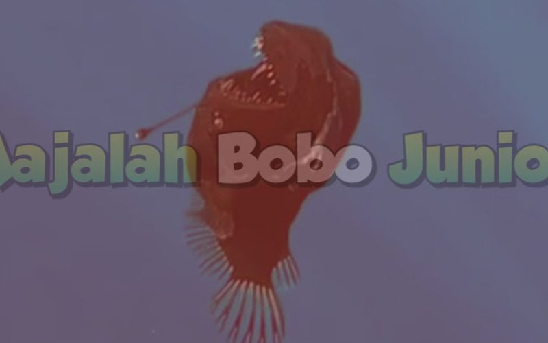 Viral Ikan Anglerfish Seram Tapi Ternyata Ukurannya Kecil