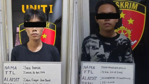 Penikam Wanita