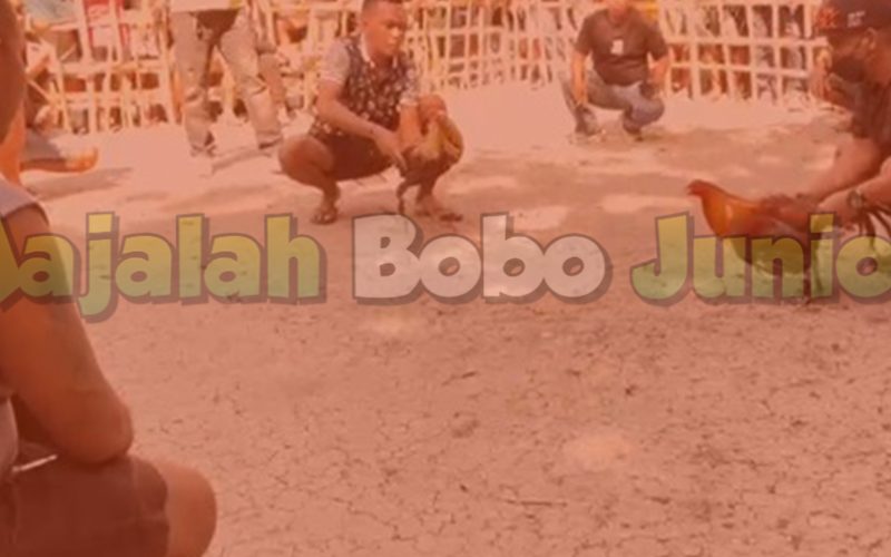 Kanit Reskrim Polsek di NTT Diduga Ikut Judi Sabung Ayam