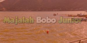 Danau Toba